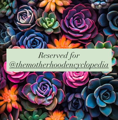 Reserved for @themotherhoodencyclopedia