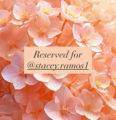 Reserved for @stacey.ramos1