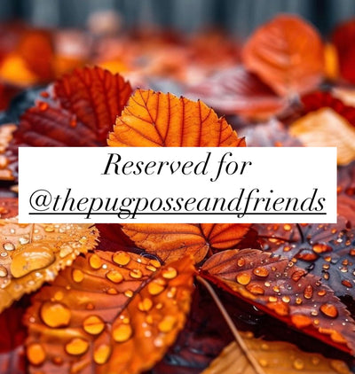 Reserved for @thepugposseandfriends