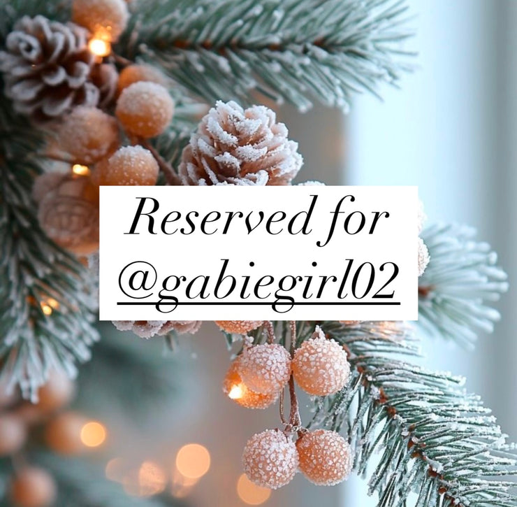 Reserved for @gabiegirl02