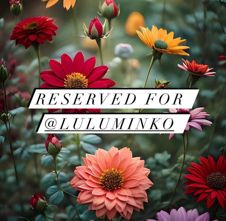 Reserved for @luluminko