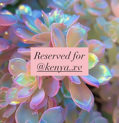 Reserved for @kenya.xv