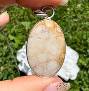 Sparkle Fossil Coral Necklace