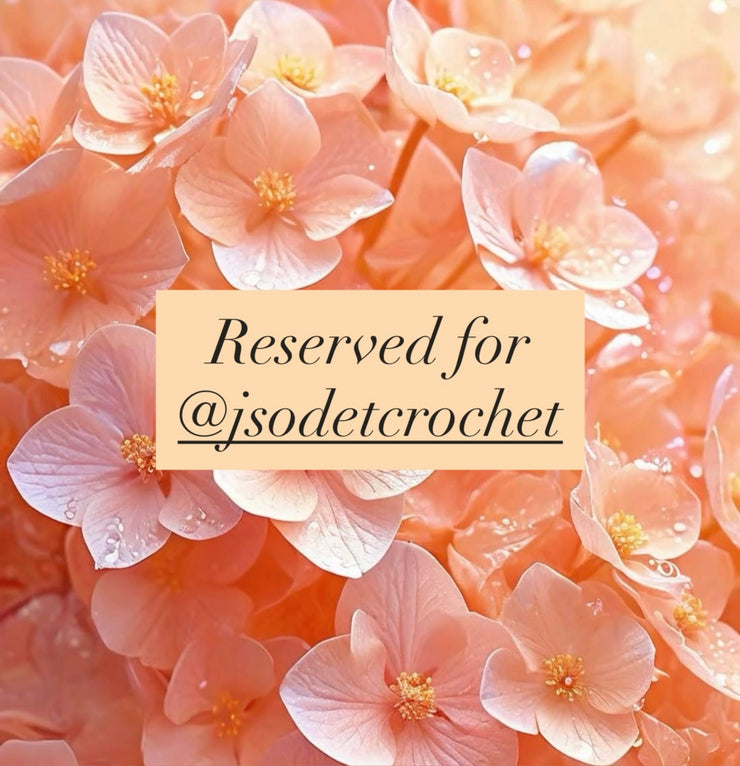 Reserved for @jsodetcrochet