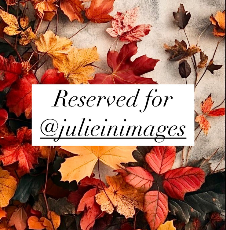 Reserved for @julieinimages