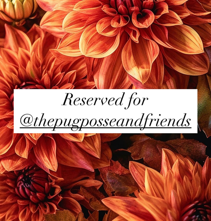 Reserved for @thepugposseandfriends