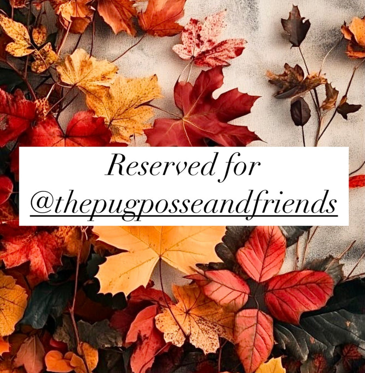 Reserved for @thepugposseandfriends