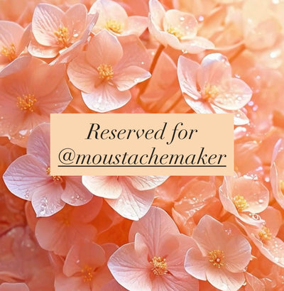 Reserved for @moustachemaker