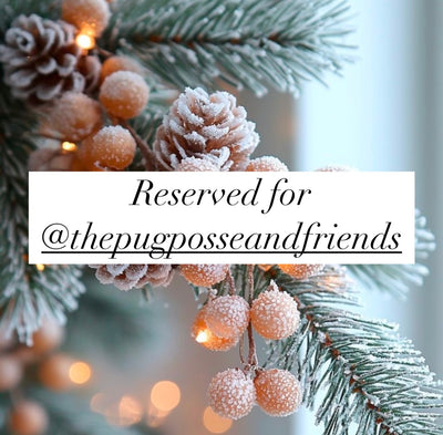 Reserved for @thepugposseandfriends