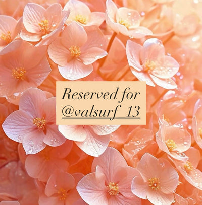 Reserved for @valsurf13