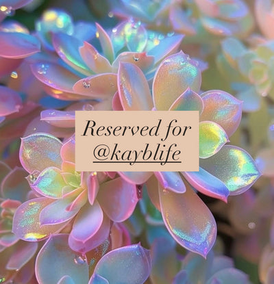 Reserved for @kayblife